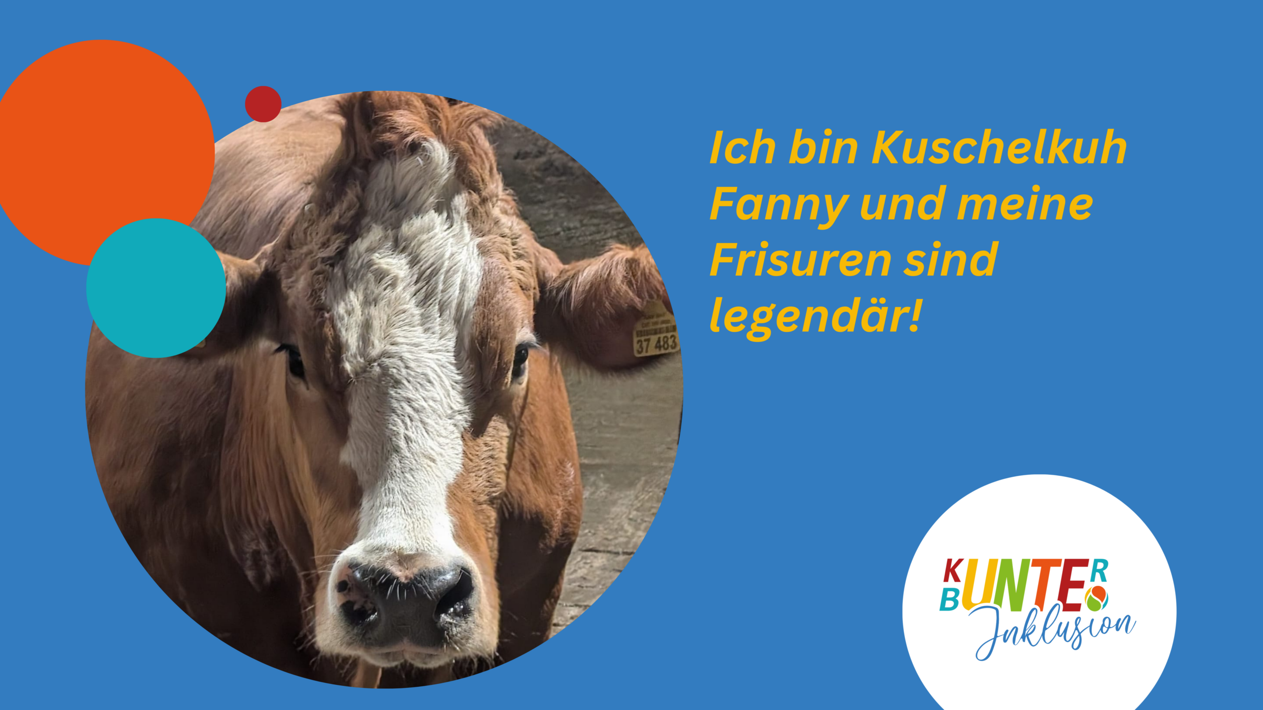 57FESTIVAL2025 ist für alle da!